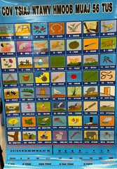Hmong Alphabet Poster