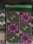 Hmong Embroidery Purse 5